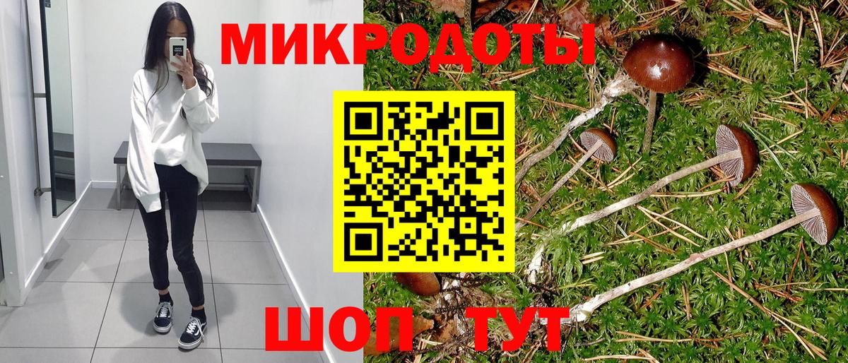 Псилоцибиновые грибы Psilocybine cubensis Тосно