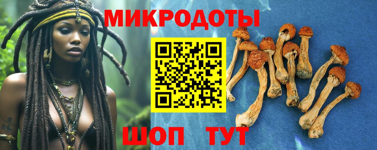 Псилоцибиновые грибы MAGIC MUSHROOMS  Вход с VPN  Тосно  Псилоцибиновые грибы мицелий 
